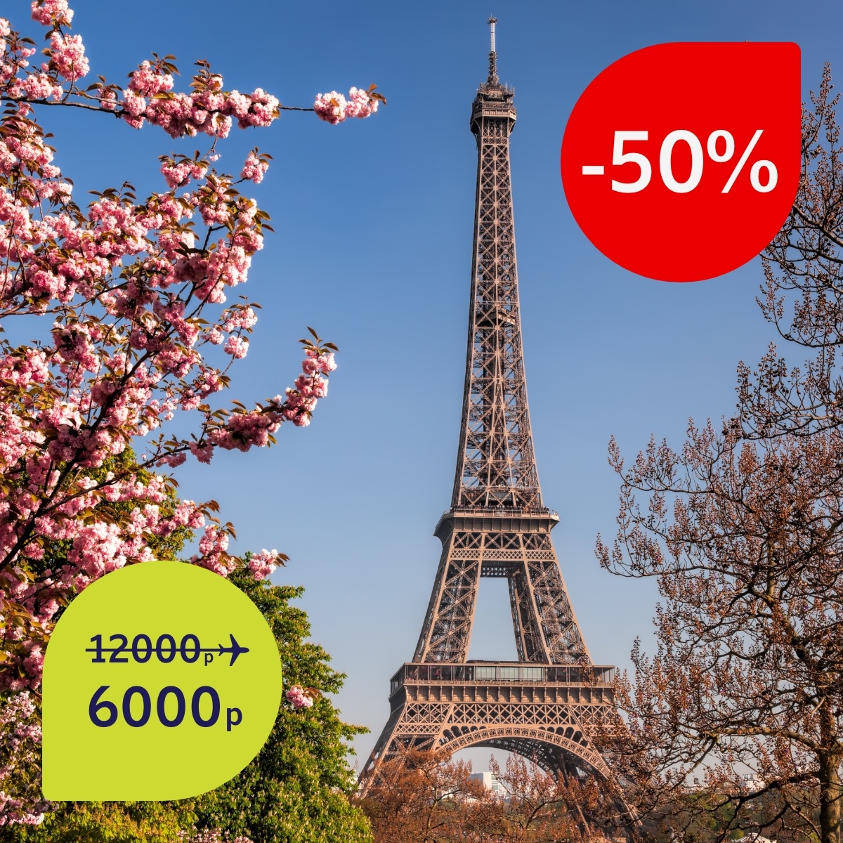 Fly for 6000 points image